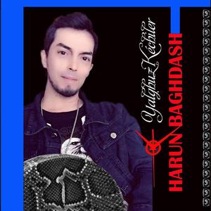 孤独的夜 Yalghuz Kéchile