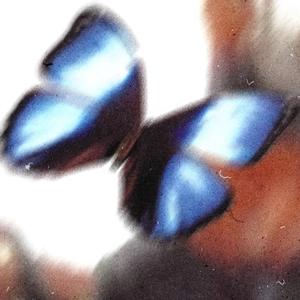 可不可以（0.9）