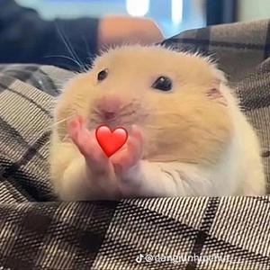 miss possessive (sped up)