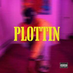 Plottin