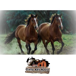 El Coplero Vernáculo