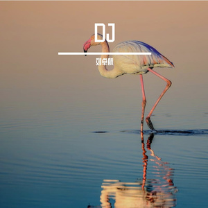 电子洪流里的永恒今夜