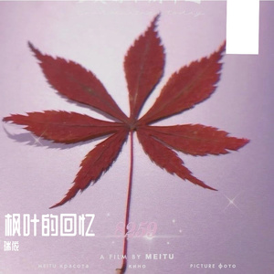 枫叶的回忆