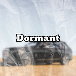 Dormant