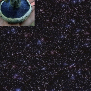 space ice cream theme