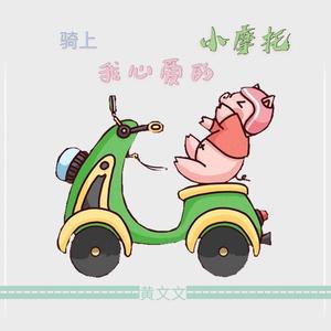 骑上我心爱的小摩托 (DJ精彩阿浩版)