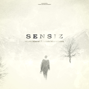 Sensiz