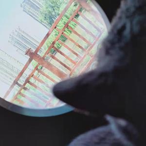 云雨之外(Prod By 雍和）