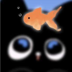 月亮是我抛的硬币