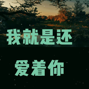 我就是还爱着你