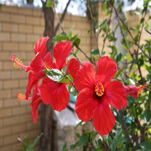 Улица Береговая