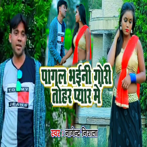 Pagal Bhaini Gori Tohar Pyar Me