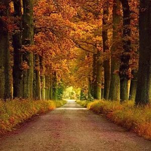 岑宁儿-追光者 （冬天的雪 remix）