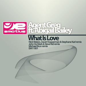 What is love (Nick Waters, David Hopperman & Stephane Karl remix)
