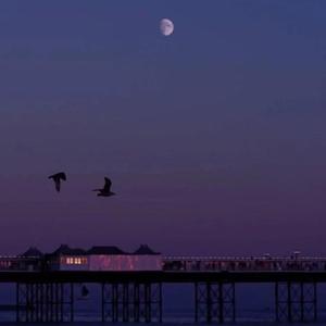 daydream(Prod by Young oz)