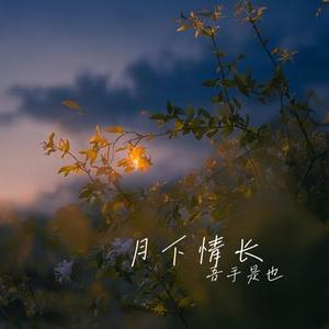 月下情长