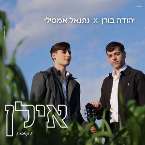 אילן