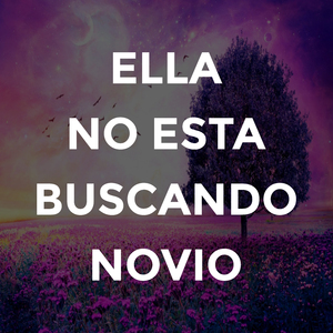 Ella No Esta Buscando Novio