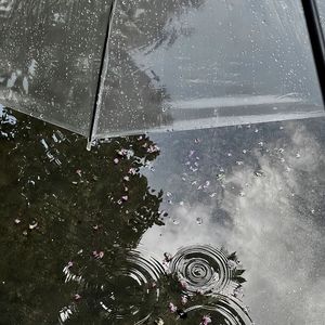 我曾爱过的女孩