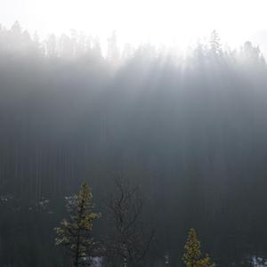 i don´t like mirrors