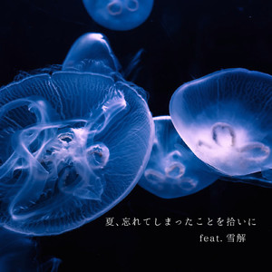 夏、忘れてしまったことを拾いに - 雪解 - (feat. 雪解)