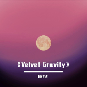 《Velvet Gravity》