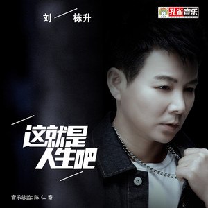 这就是人生吧