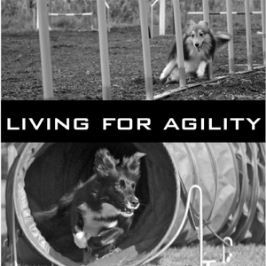 Living for Agility