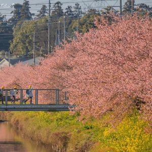 去有风的地方(Acoustic)