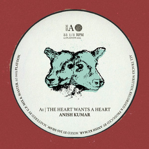 The Heart Wants a Heart