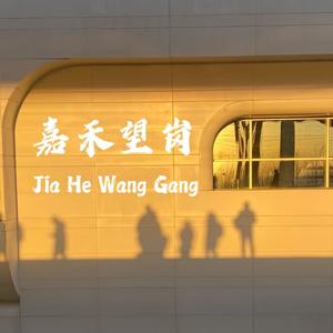 节点（嘉禾望岗）