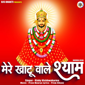 Mere Kathu Wale Shyam