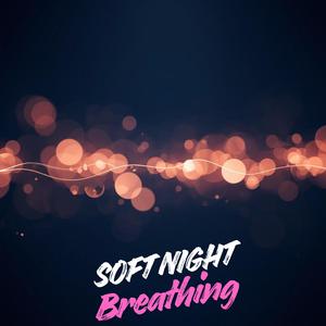 Soft Night Breathing