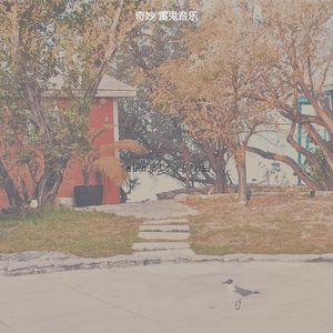 一尘不染巴哈马印象数