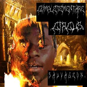 ComplètemenTaré Circus. (la Destruction)