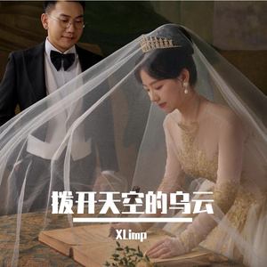 爱就一个字 （李撩扎-XLimp remix）