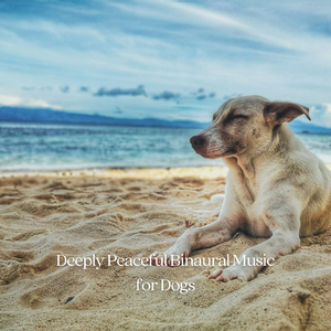 99 Hz Abundance of Joy