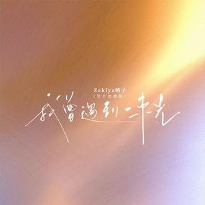 我曾遇到一束光(官方治愈版)