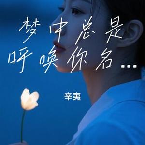 梦中总是呼唤你名字