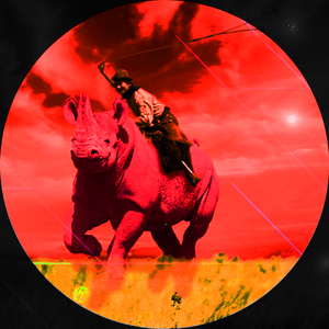 Camellos