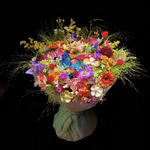 雪山下的故乡情