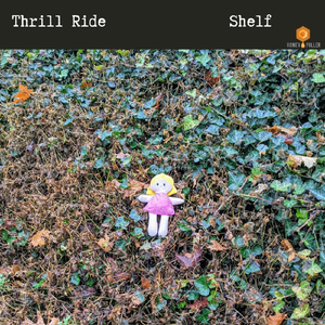 Shelf