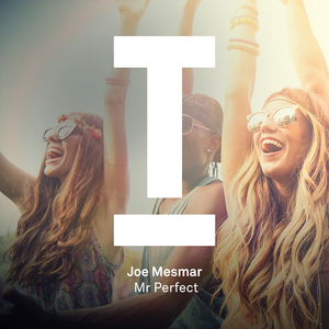Mr Perfect (Original Mix)