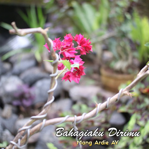 Bahagiaku Dirimu (-)