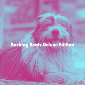 Dream Like Music for Breakfast & Coffee