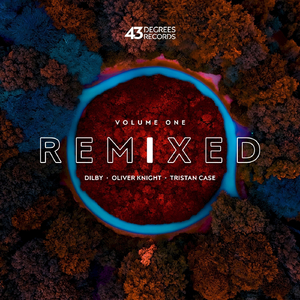 Weakness (Oliver Knight Remix)