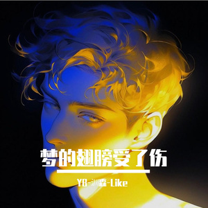 梦的翅膀受了伤