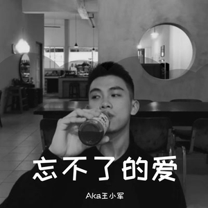 曾经的爱（后来Remix）（AKa王小军 / 鹿头LuTo remix）