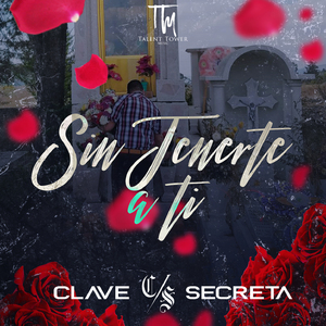 Sin Tenerte a Ti