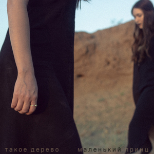 Маленький принц